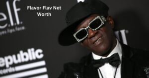 Flavor Flav Net Worth